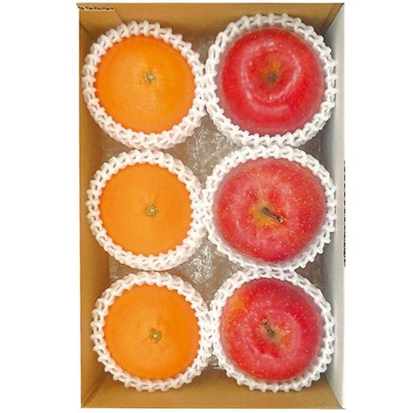 愛媛県産 紅まどんな みかん 青森県産 蜜入りサンふじ りんご セット