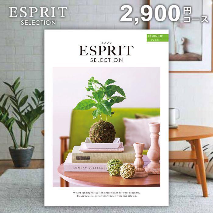 エスプリ (全14コース)