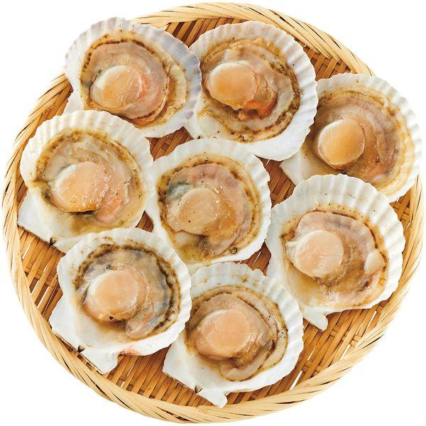 北海道産 帆立片貝 50g 8枚 セット