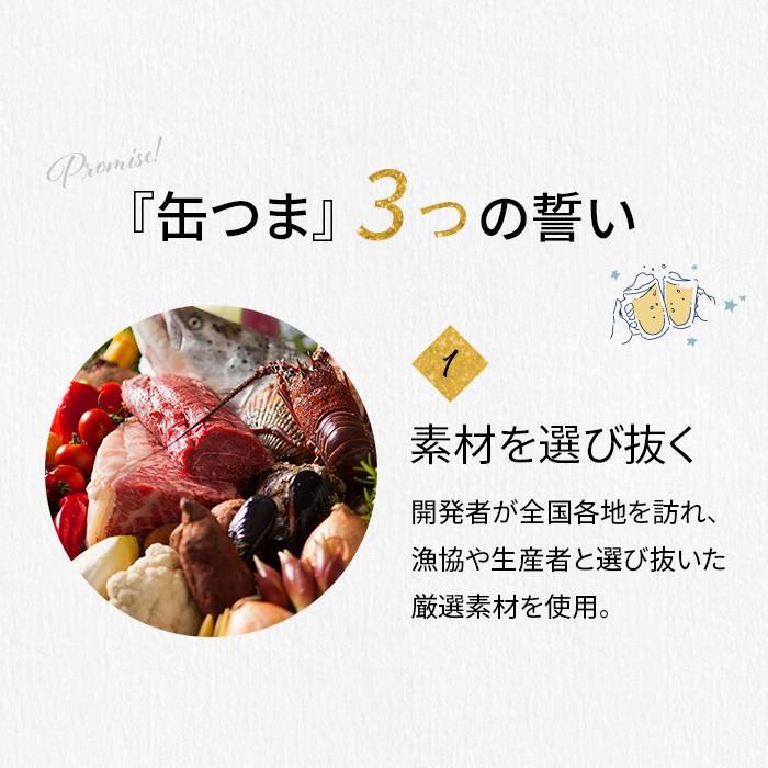 ☆マモン☆鹿骨ジャーキー詰め合わせ(簡易包装/不揃い) 匠菴謹製 ミニたんす御進物 「ほまれ」かすてぃら&今治産たおる