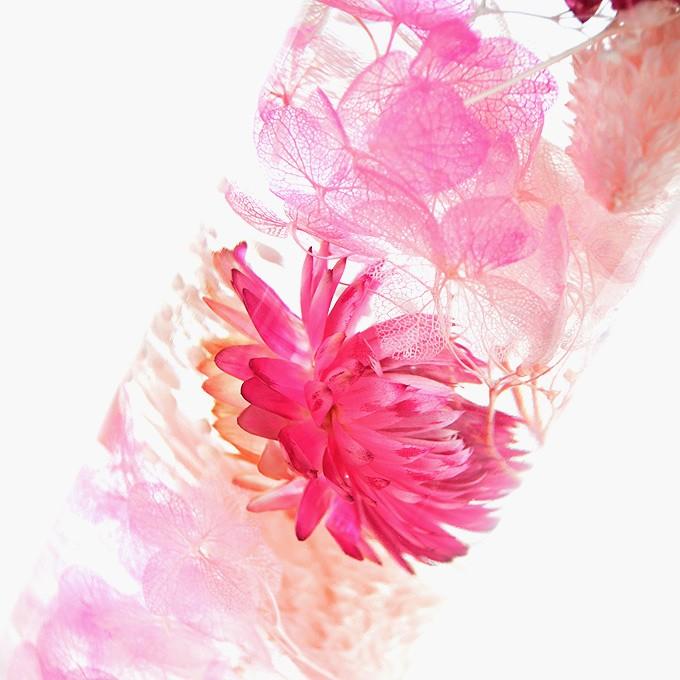 ◆ハーバリウム　256　色とりどりのヘリクリサム*.:。✿*゜¨ ◇ハーバリウム256色とりどりのヘリクリサム*.:。✿*゜¨