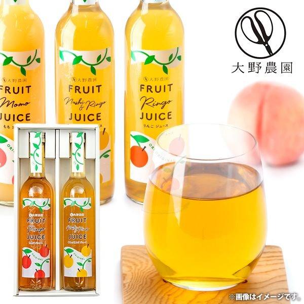 大野農園 りんご 梨 果実ジュース 500ml 2本 セット