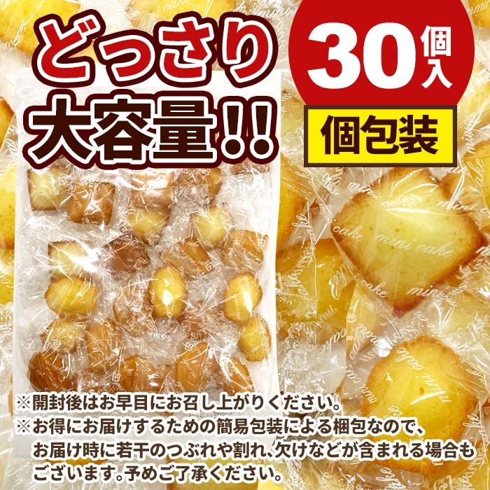 訳あり お試し お菓子 ポイント消化 ポイント利用 スイーツ 洋菓子