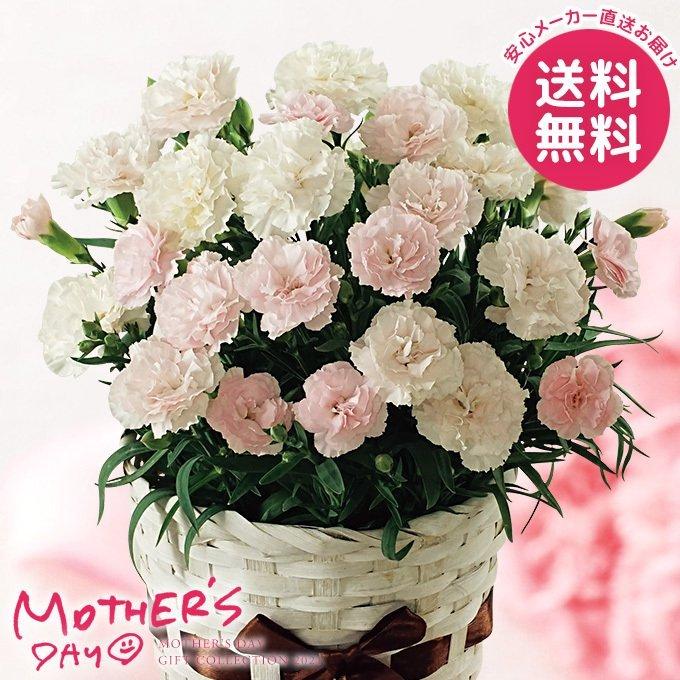 母の日ギフト プレゼント特集21 ジャパンギフト Yahoo ショッピング