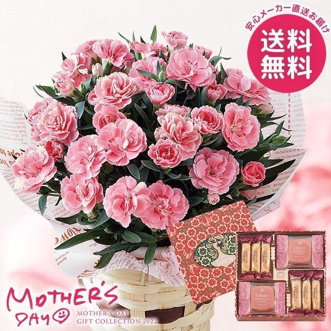 母の日 22 早割 プレゼント 花 鉢 ギフト セット スイーツ 洋菓子 カーネーション 鉢植え オスカーピンク 4号とモロゾフ オデットのセット 生花 おしゃれ 鉢花 のし 包装紙 ラッピング 選択不可