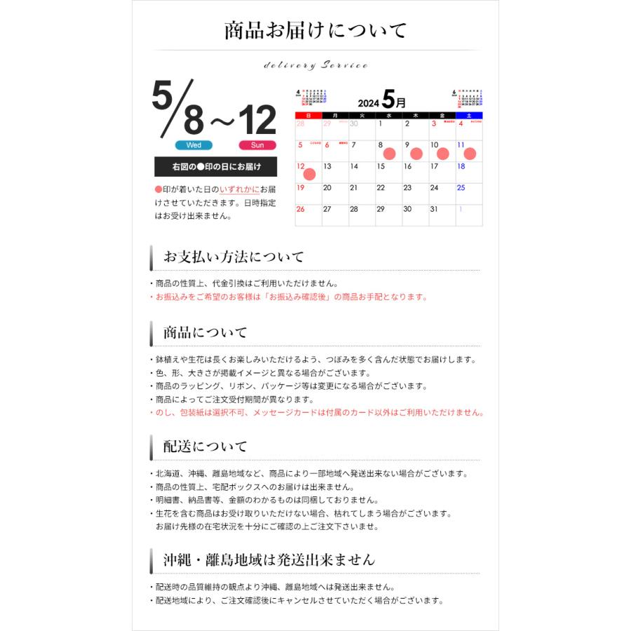 母の日 プレゼント 2024 花以外 スイーツ 洋菓子 焼き菓子 食品 ギフト 神戸風月堂 レスポワール ドリカポ 15枚 缶入り D12SN｜japangift｜05