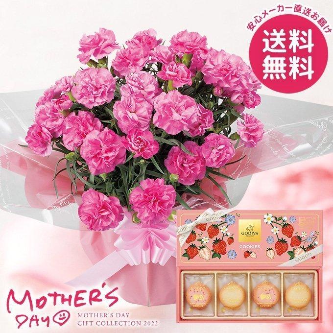 母の日 22 早割 プレゼント 花 鉢 ギフト セット スイーツ 洋菓子 ゴディバ あまおう苺クッキーアソートメントとピンクカーネーション 鉢植え 5号 生花 鉢花 のし 包装紙 ラッピング 選択不可