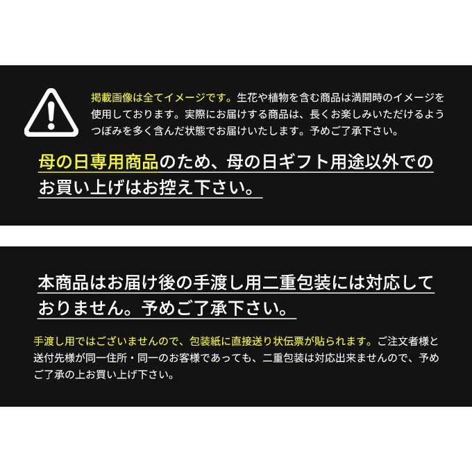 母の日 ギフト プレゼント 2025 花以外 スイーツ お菓子 和菓子 母の日 ギフト プレゼント 2025 花以外 スイーツ お菓子 和菓子