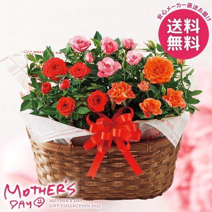 母の日 22 プレゼント 花 鉢 ミニバラ 3色寄せ植え 3 5号鉢 母の日ギフト 花鉢 鉢花 生花 おしゃれ かわいい 人気 ジャパンギフト Paypayモール店 通販 Paypayモール