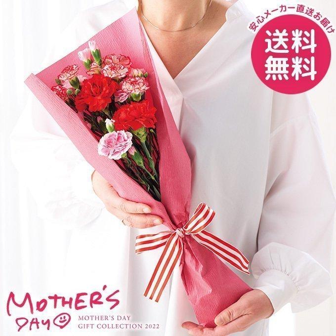 遅れてごめんね 母の日 22 カーネーション プレゼント 花束 ブーケ ギフト カーネーション 花束 母の日ギフト おしゃれ かわいい 人気 ジャパンギフト Paypayモール店 通販 Paypayモール