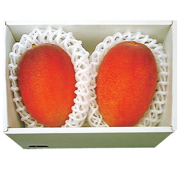 沖縄県産 マンゴー 2玉 セット