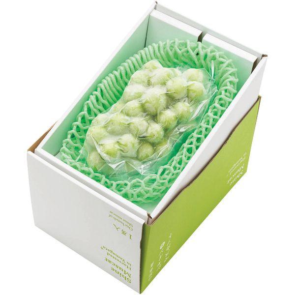 まるごとフローズン シャインマスカット