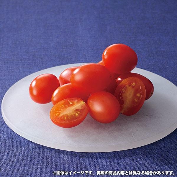 お中元 御中元 2026 送料無料 野菜 ギフト トマト プリンセス フルーツミニトマト 450g オスミックファースト セット 食品 グルメ お中元ギフト 夏ギフト_1