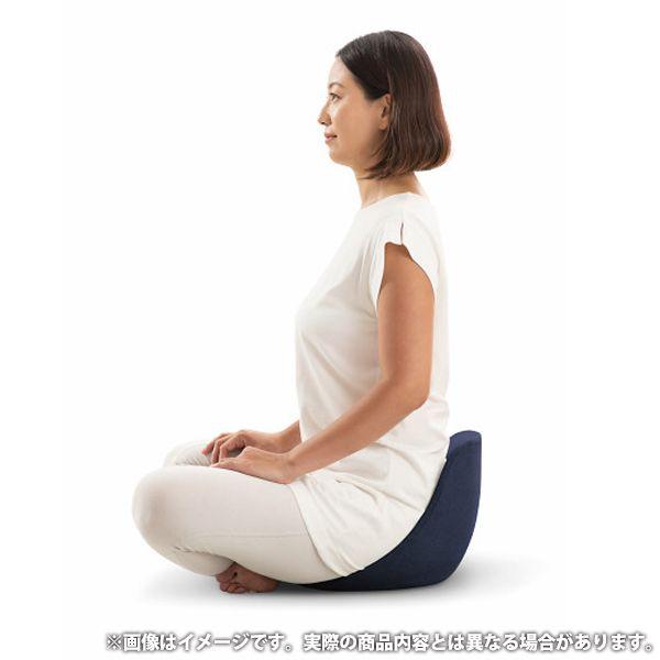ドリーム &MEDICAL KURA SEAT HB クラシート ハイバック 骨盤 ドリーム &MEDICAL KURA SEAT HB クラシート ハイバック 骨盤
