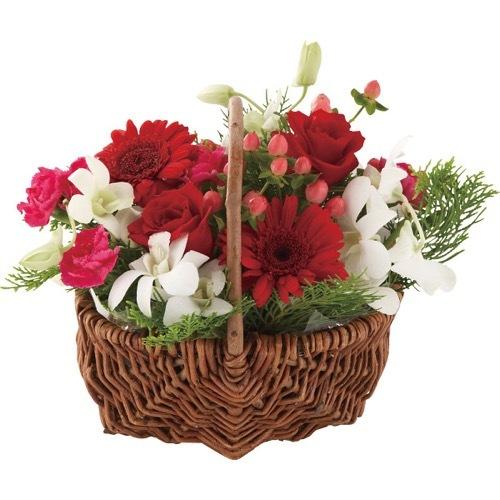 内祝い お返し 送料無料 花 はな 誕生日 ギフト フラワーギフト フラワーバスケット 花束 四季の花アレンジ 冬 1 メーカー直送 のし 包装不可 Ss297 046 ジャパンギフト Yahoo ショッピング店 通販 Yahoo ショッピング