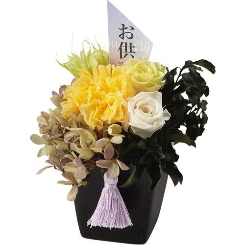 すべての美しい花の画像 最新花 枯れない 加工