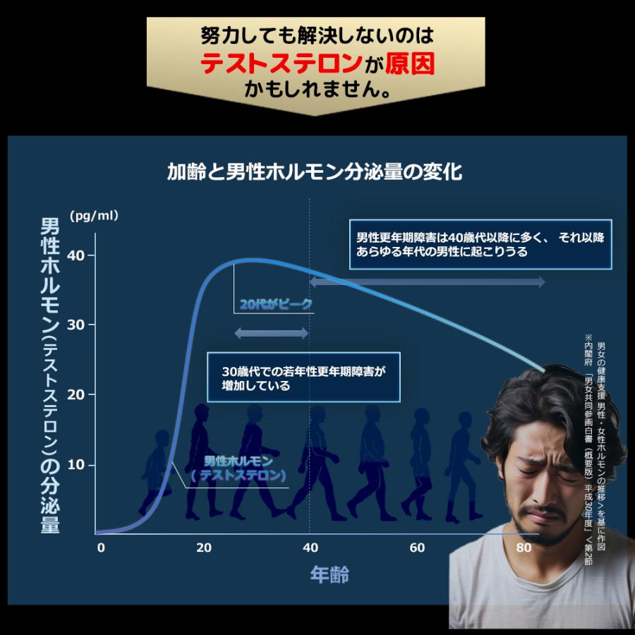 4212円→2822円 34%OFF】 同太和 ToatlHeal 海狗丸MAX マカ 亜鉛 健康食品 サプリメント サプリ 男性 GMP国内製造 海狗 丸 大容量 マカdx 30日分｜japanhealthcenter｜06