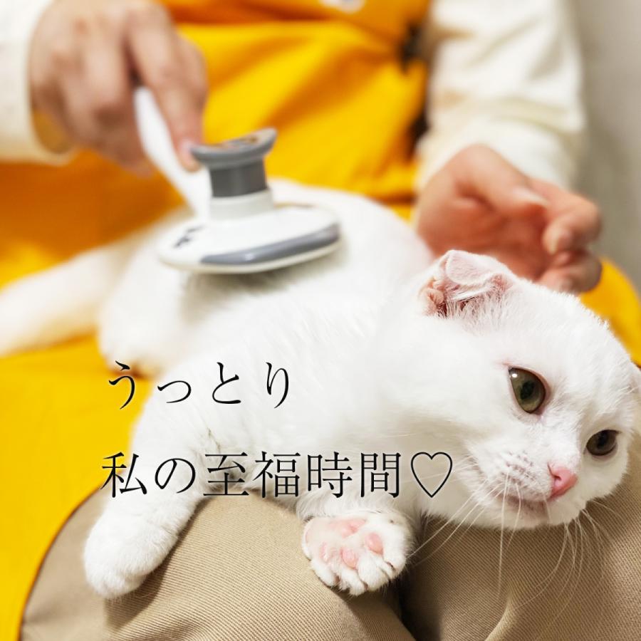 猫ヒーローズ】いつでも猫ブラッシング ペット用ブラシ 猫用 ブラシ 猫 