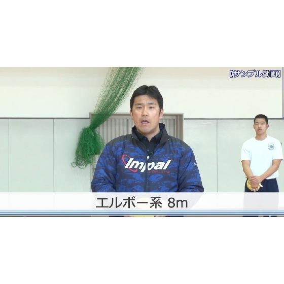 ジャパンライム 試合を組み立てる「投げ」動作の習得 DVD ハンドボール