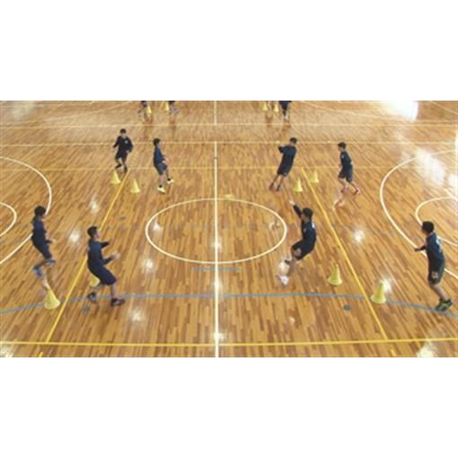 ジャパンライム 試合を組み立てる「投げ」動作の習得 DVD ハンドボール
