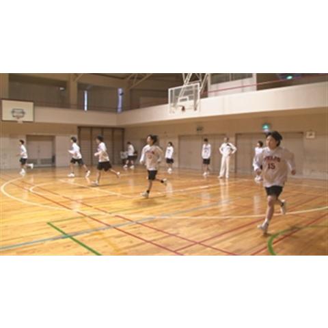 ジャパンライム すべてのディフェンスに対応するオールパーパス ジャパンライム すべてのディフェンスに対応するオールパーパス