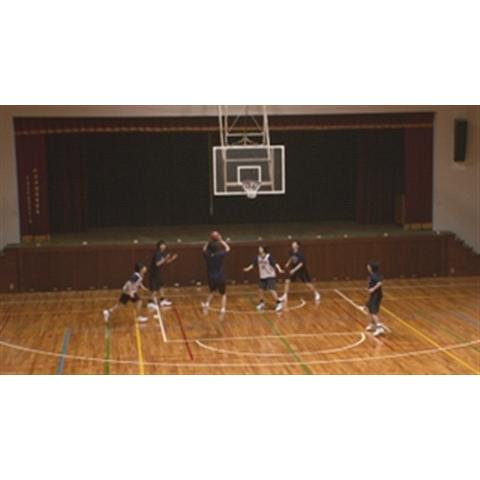 ジャパンライム すべてのディフェンスに対応するオールパーパス ジャパンライム すべてのディフェンスに対応するオールパーパス