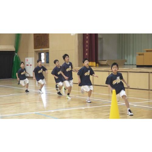 ジャパンライム コンタクトに負けない選手を育てるファンダメンタル