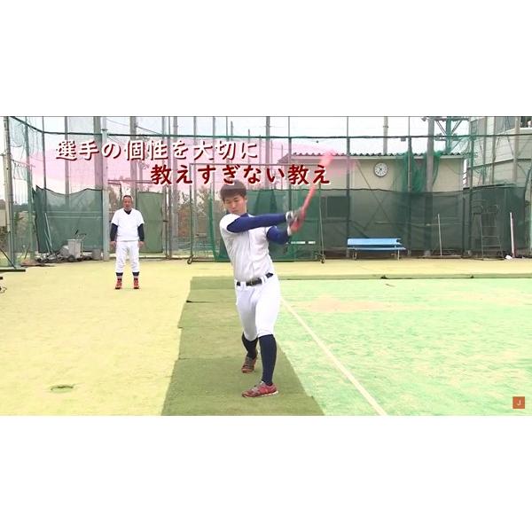これだけは外せない「打撃理論」と「練習法」 野球 DVD 履正社高校 1097-S 全1巻 | ジャパンライム | 01