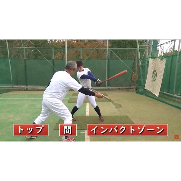 これだけは外せない「打撃理論」と「練習法」 野球 DVD 履正社高校 1097-S 全1巻 | ジャパンライム | 02