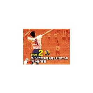 ジャパンライム 細部にこだわるバレーボール 「スパイク編  