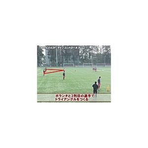 ジャパンライム 2019 全国高校サッカー 準優勝 流通経済大学付属柏高校