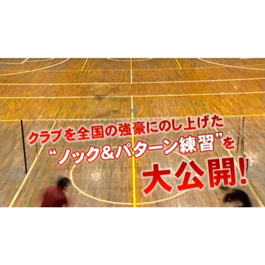 ジャパンライム 永井孝の「バドミントン初心者指導」決定版 DVD 773-S