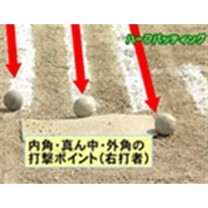 ジャパンライム 附属坂出中 選手の