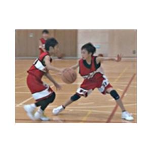 ジャパンライム 「日本一」のファンダメンタル バスケットボール 919-S