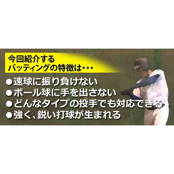 「同調・ライン・近距離」でつくる“強打”のチーム 盛岡大附属高校 硬式野球 関口清治 打撃指導 949-S 全1巻｜japanlaim0418