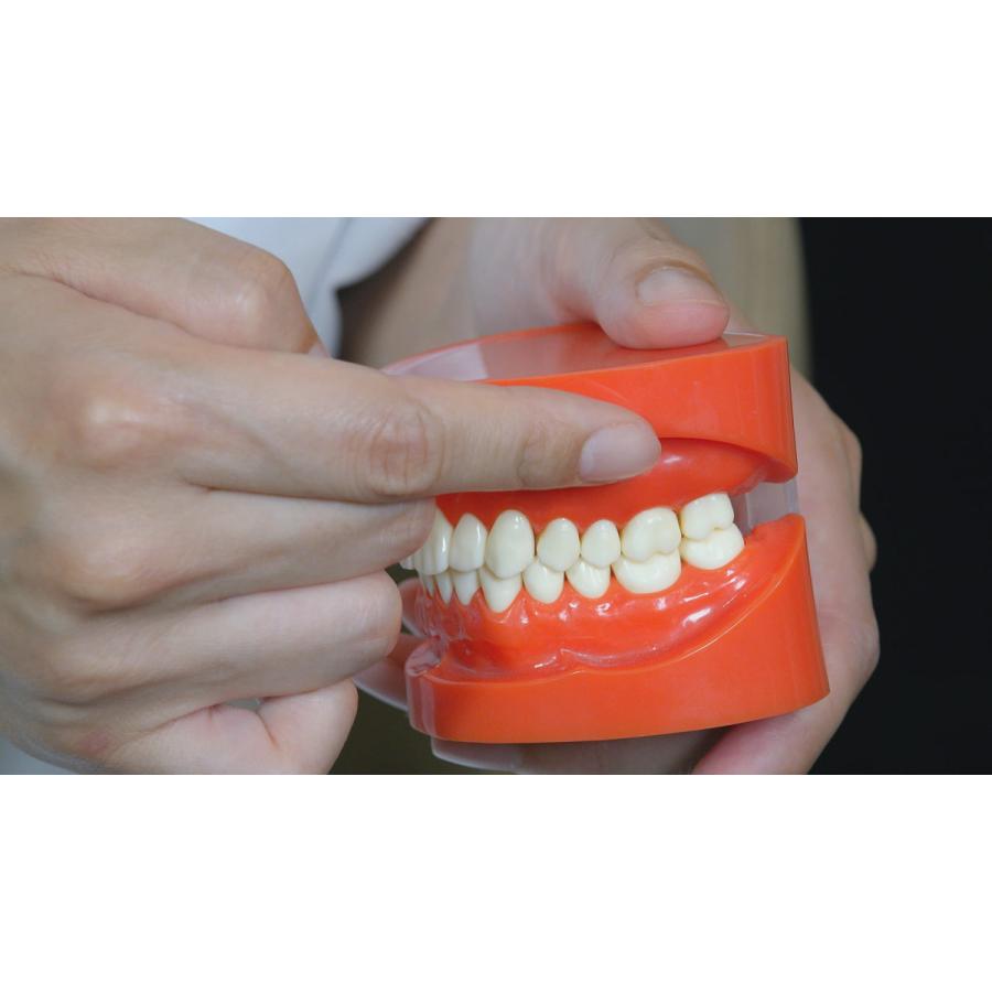 Dental Aesthetic 理論と実践 口腔を通じて健康と美を支援する 歯科 歯科衛生士 DE183-S 全1巻 | ジャパンライム | 09