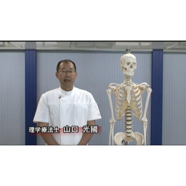 New限定品 山口光國の 肩のセラピー 実技編 理学療法 Me115 S 全2巻 海外最新 Homeofmalones Com
