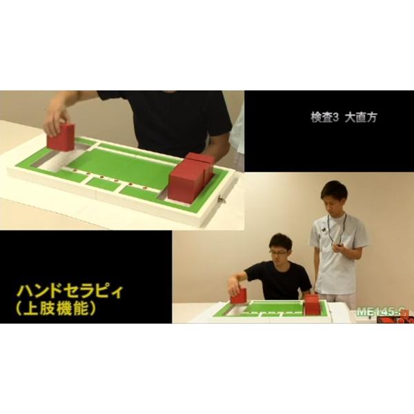 ジャパンライム 日本ハンドセラピィ学会監修DVDシリーズ ジャパンライム 日本ハンドセラピィ学会監修DVDシリーズ