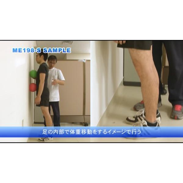 ジャパンライム 体幹機能障害に対する運動療法 理学療法 体幹 ジャパンライム 体幹機能障害に対する運動療法 理学療法 体幹