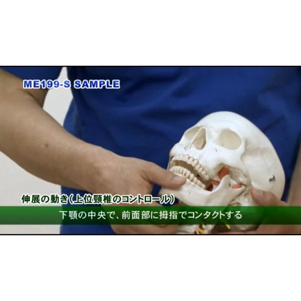 ジャパンライム PNFの治療技術 臨床応用編3「頸椎へのアプローチ」理学