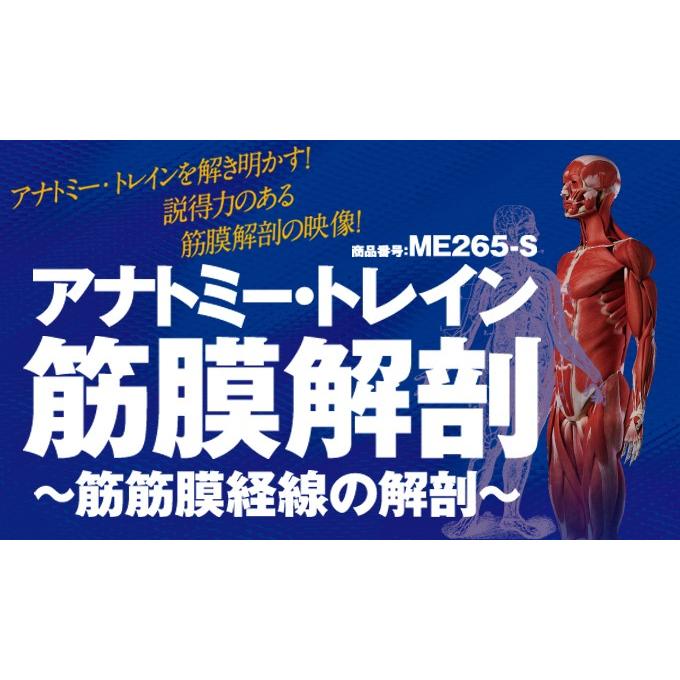 アナトミー・トレイン 筋膜解剖 筋筋膜経線の解剖 トム・マイヤーズ Anatomy Trains 理学療法 ME265-S 全3巻｜japanlaim0418