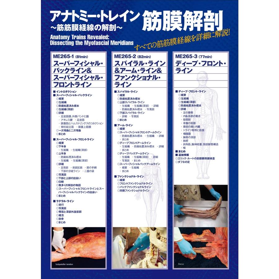 アナトミー・トレイン 筋膜解剖 筋筋膜経線の解剖 トム・マイヤーズ Anatomy Trains 理学療法 ME265-S 全3巻｜japanlaim0418｜03