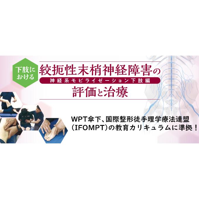 下肢における絞扼性末梢神経障害の評価と治療〜神経系モビライゼーション 下肢編〜[理学療法 ME304-S 全2巻・分売不可]  :ME304-S:ジャパンライム株式会社 - 通販 - Yahoo!ショッピング