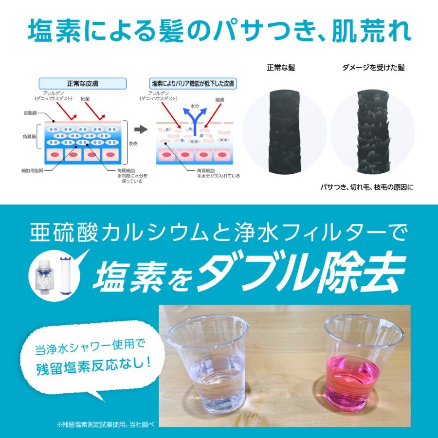 交換用カートリッジ 日本製 日丸屋製作所 シャワーヘッド用 塩素除去 浄水フィルター 2本セット(6ヵ月分) ポイント消化|japanmall|02