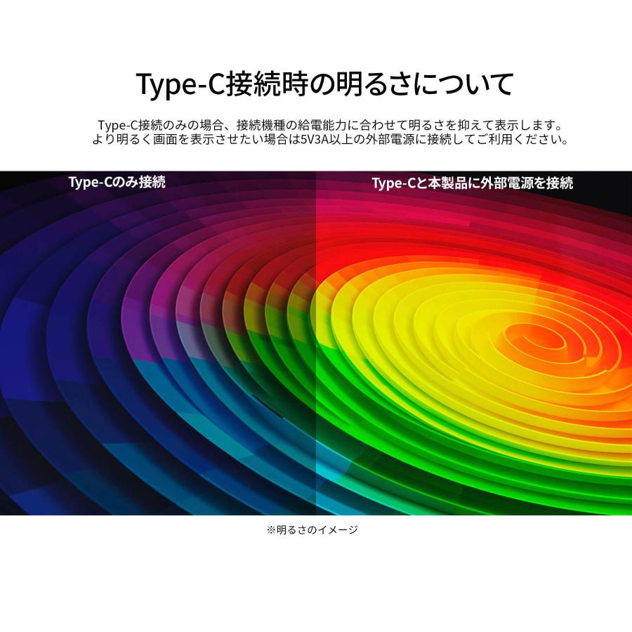 JAPANNEXT（ジャパンネクスト） JAPANNEXT 13.3インチ 有機EL(OLED