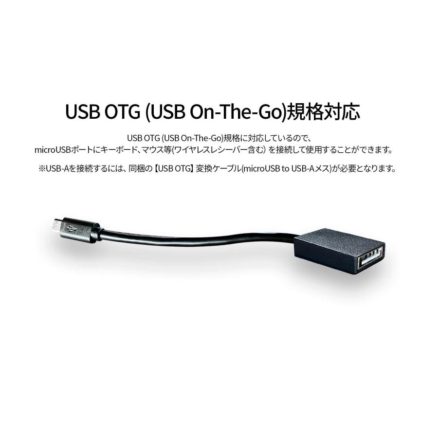 JAPANNEXT（ジャパンネクスト） JAPANNEXT 13.3インチ 有機EL(OLED