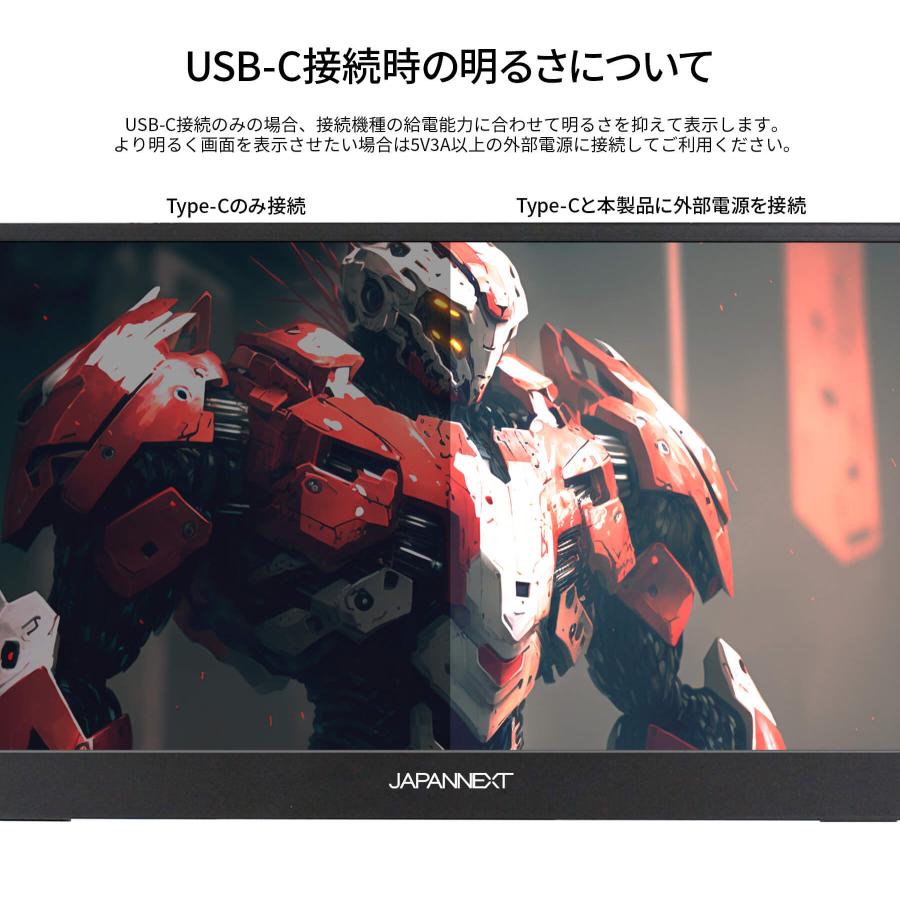 JAPANNEXT（ジャパンネクスト） 【ECサイト限定】JAPANNEXT 15.6インチ