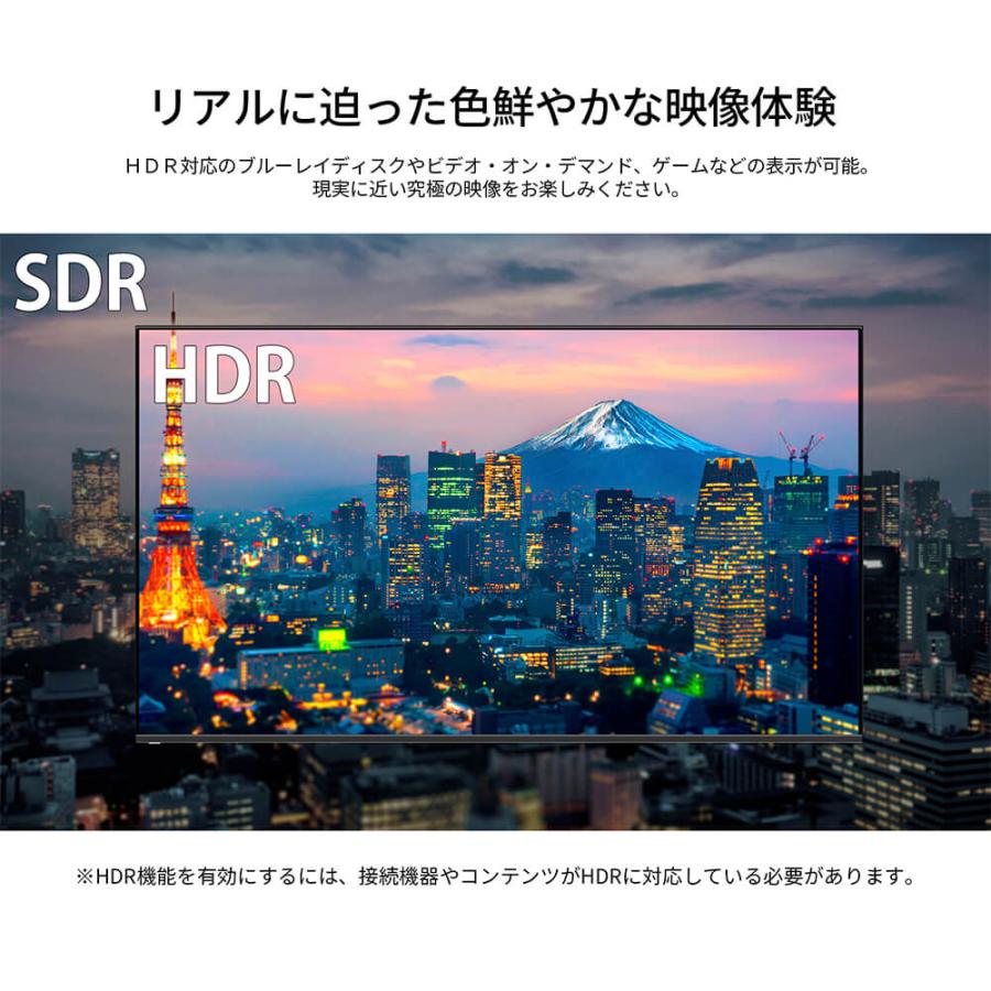 JAPANNEXT 65インチ VAパネル搭載 4K(3840x2160)解像度 大型液晶