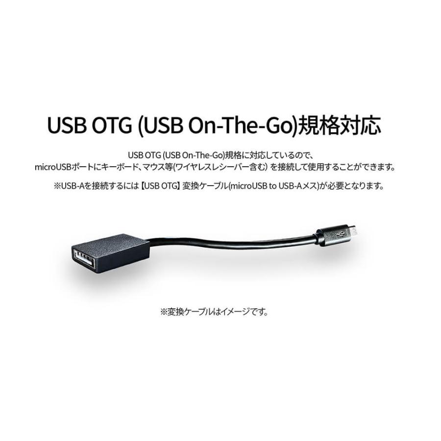 JAPANNEXT（ジャパンネクスト） 13.3インチ 有機EL(OLED)パネル搭載 10