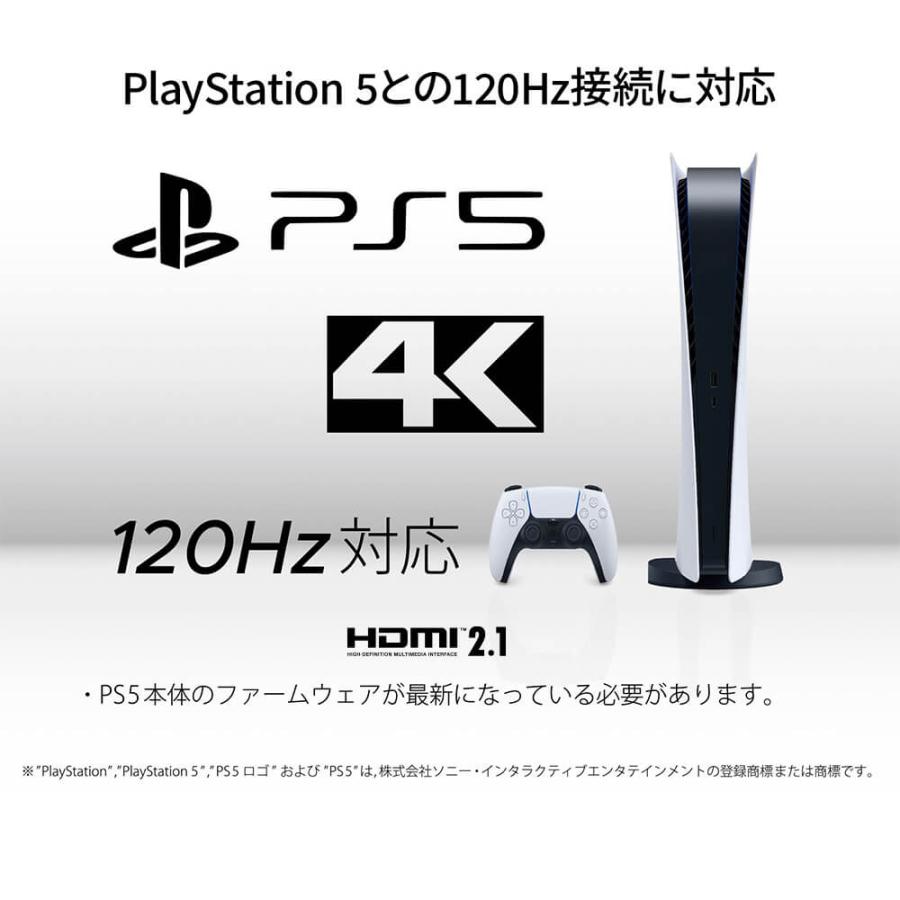 JAPANNEXT（ジャパンネクスト） JAPANNEXT 28インチ IPSパネル搭載